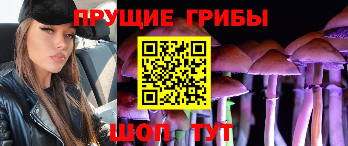 купить наркоту  Галлюциногенные грибы Psilocybe  Вход с VPN  Галлюциногенные грибы мухоморы  Благовещенск 