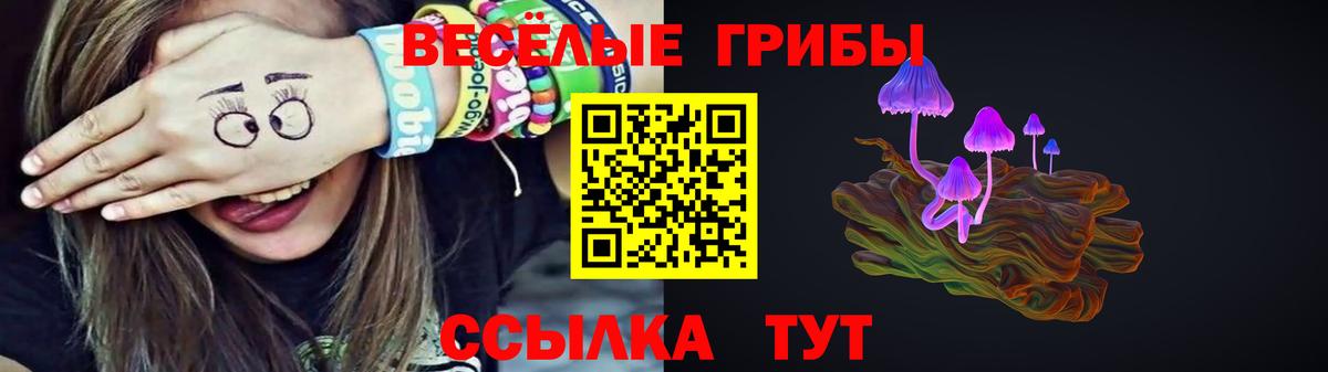 Псилоцибиновые грибы ЛСД Благовещенск